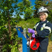 Slide image thumbnail