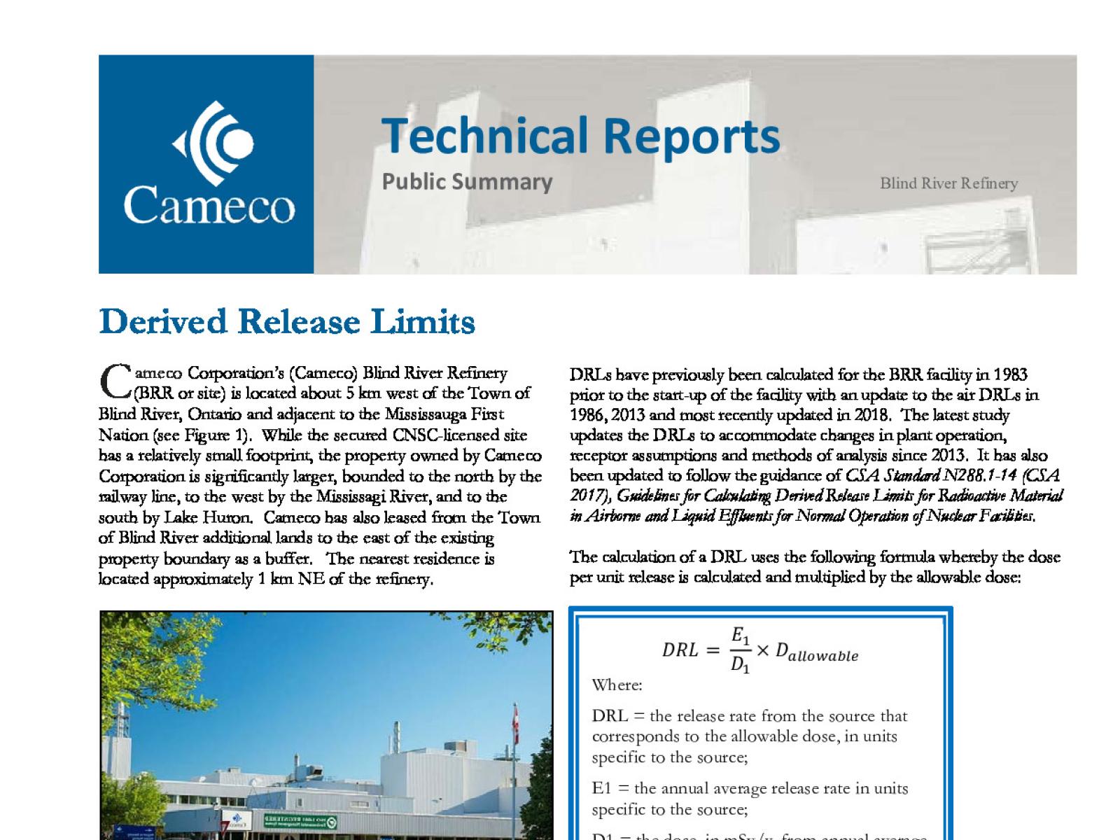 BRR-DRL-Public-Summary-2021.pdf