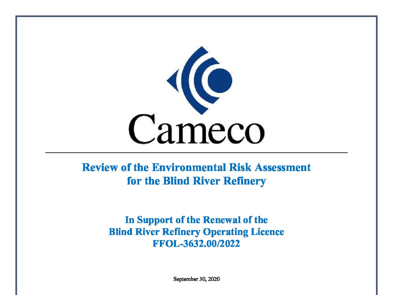 Review of the Environmental Risk Assessment for the Blind River