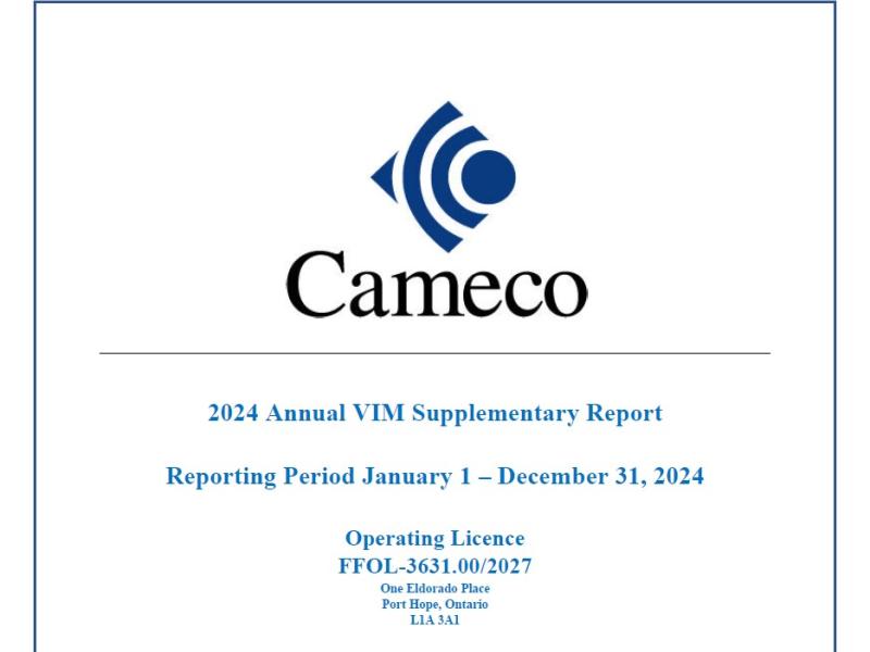 Vision in Motion 2024 Supplementary Report thumbnail